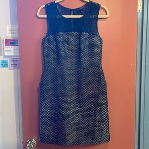 The Limited Dress Black & Gold